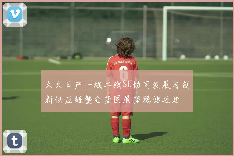 久久日产一线二线SU协同发展与创新供应链整合蓝图展望稳健迈进