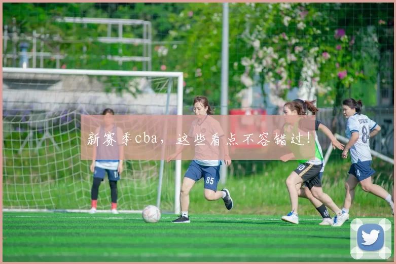 新赛季cba，这些看点不容错过！