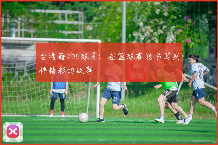 台湾籍cba球员：在篮球赛场书写别样精彩的故事